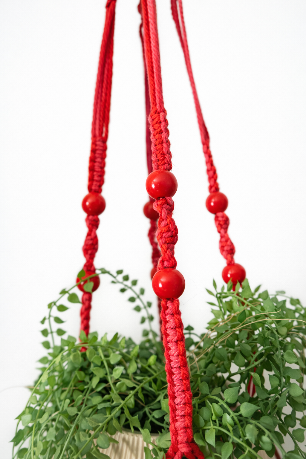Makramee Pflanzenhänger Rot – moderner Blumenampel Halter für Zimmerpflanzen