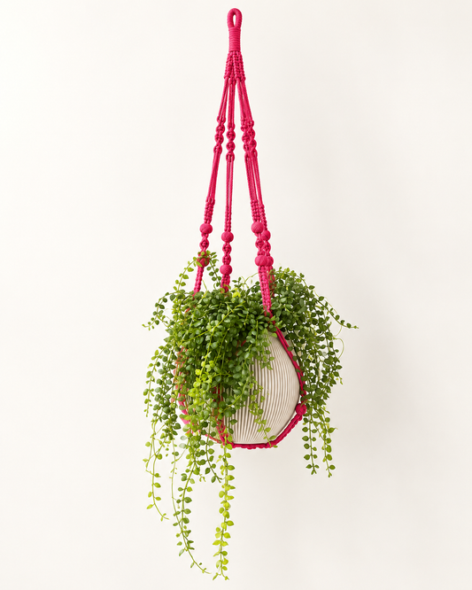 Blumenampel Makramee Pflanzenhänger Rot – moderner Blumenampel Halter für Zimmerpflanzen